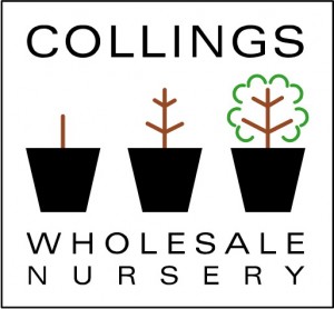 Collings Wholesale Nursery