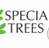 Speciality-Trees-40-Year-ComboB